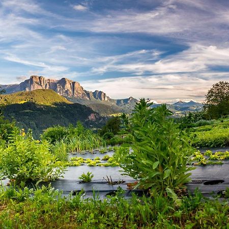 Appartamento Oberpalwitterhof Barbiano  Esterno foto