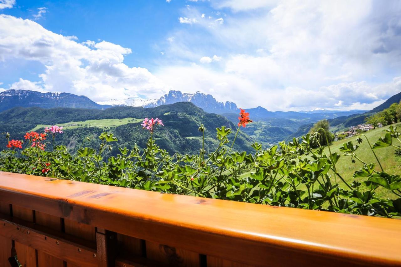 Appartamento Oberpalwitterhof Barbiano  Esterno foto