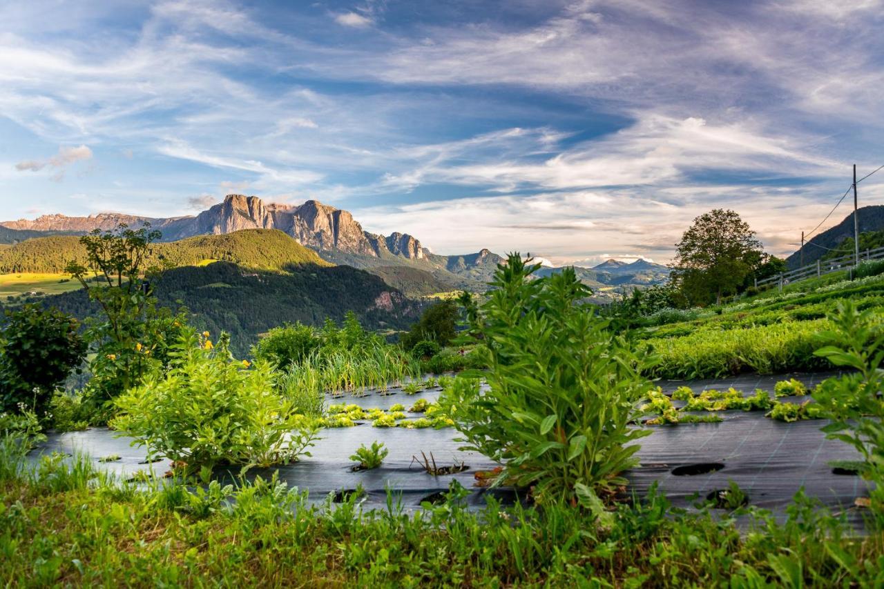 Appartamento Oberpalwitterhof Barbiano  Esterno foto