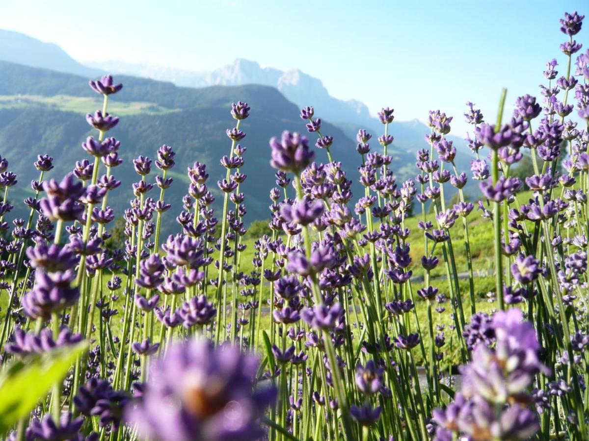 Appartamento Oberpalwitterhof Barbiano  Esterno foto
